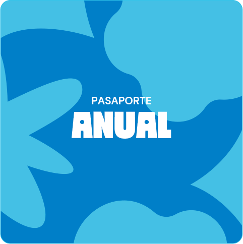 Un año de diversión